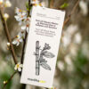 Mastiha Care Peel Off Mask
